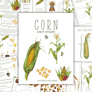 MAS/MAIZE Eenheidsstudie, levenscyclus, anatomie, natuurstudie, wetenschap, handschrift, Homeschool afdrukbare, Montessori, Instant Download