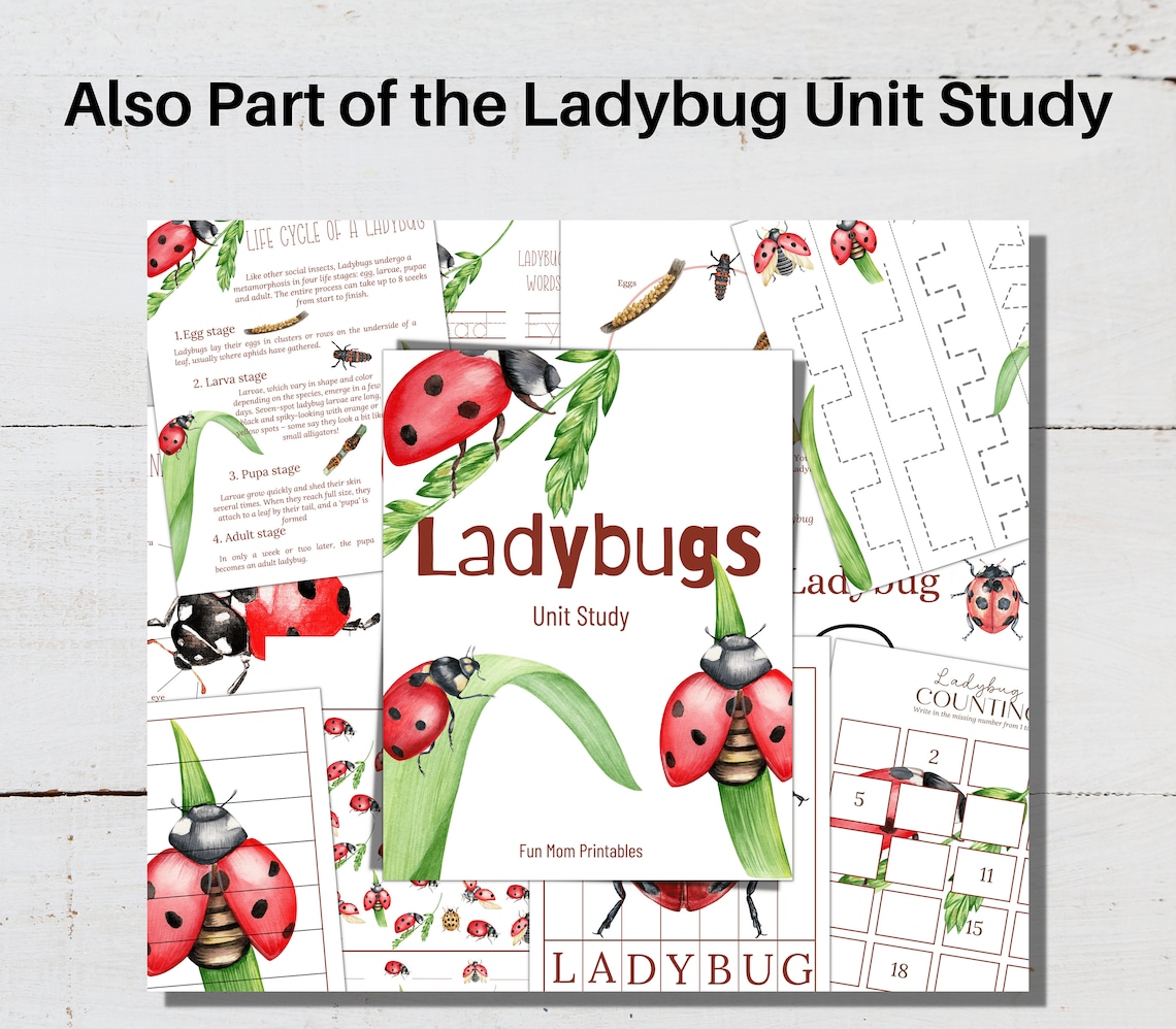 Ladybug Studies LADYBUG Anatomy, Posters + Labeling and Tracing Activities, Grasshopper ...