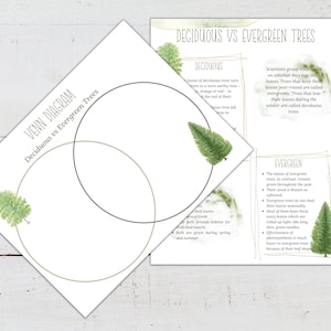 Arbres décidus vs arbres à feuilles persistantes, activité de diagramme de Venn, école à la maison, Montessori, téléchargement immédiat