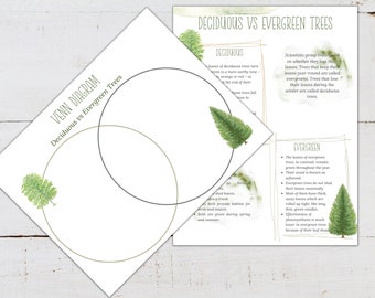 DECIDUOUS vs EVERGREEN Trees Venn Diagram Activity, Homeschool, Montessori, Instant Download