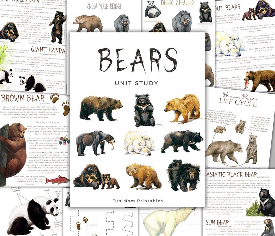 Bears Unit Study: Life Cycle, Anatomy, Homeschool Printable (instant ...
