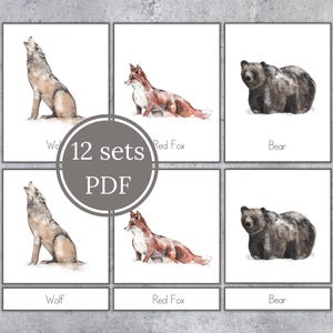 WINTER FOREST Animals Montessori 3 Part Cards. Preschool Vocabulary ...