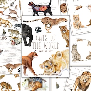 Könnte beinhalten: Eine Sammlung von Lernmaterialien mit dem Titel "Cats of the World Unit Study" mit Aquarellillustrationen verschiedener Katzenarten, darunter ein Gepard, ein Löwe und ein Luchs. Die Seiten enthalten auch Diagramme und Lebenszyklusdiagramme.
