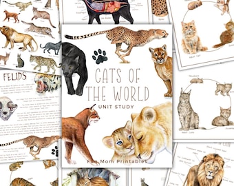 May include: A collection of educational printables titled "Cats of the World Unit Study" featuring watercolor illustrations of various cat species, including a cheetah, lion, and lynx. The pages also include diagrams and life cycle charts.