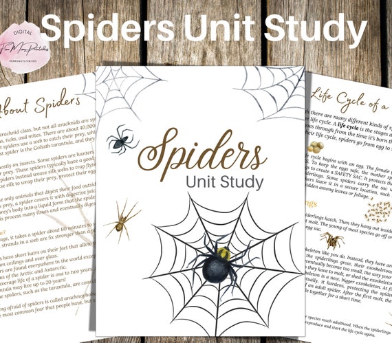 SPIDER Unit Study Life Cycle Anatomy Nature Study Science