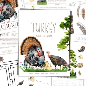 TURKEY Unit Study, Life Cycle, Anatomy, Montessori 3 Part Cards, DIGITAL DOWNLOAD