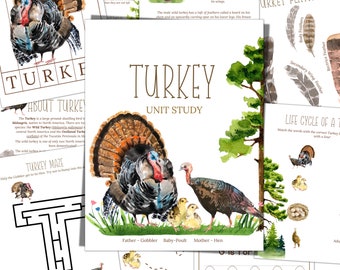 TURKEY Unit Study, Life Cycle, Anatomy, Montessori 3 Part Cards, DIGITAL DOWNLOAD