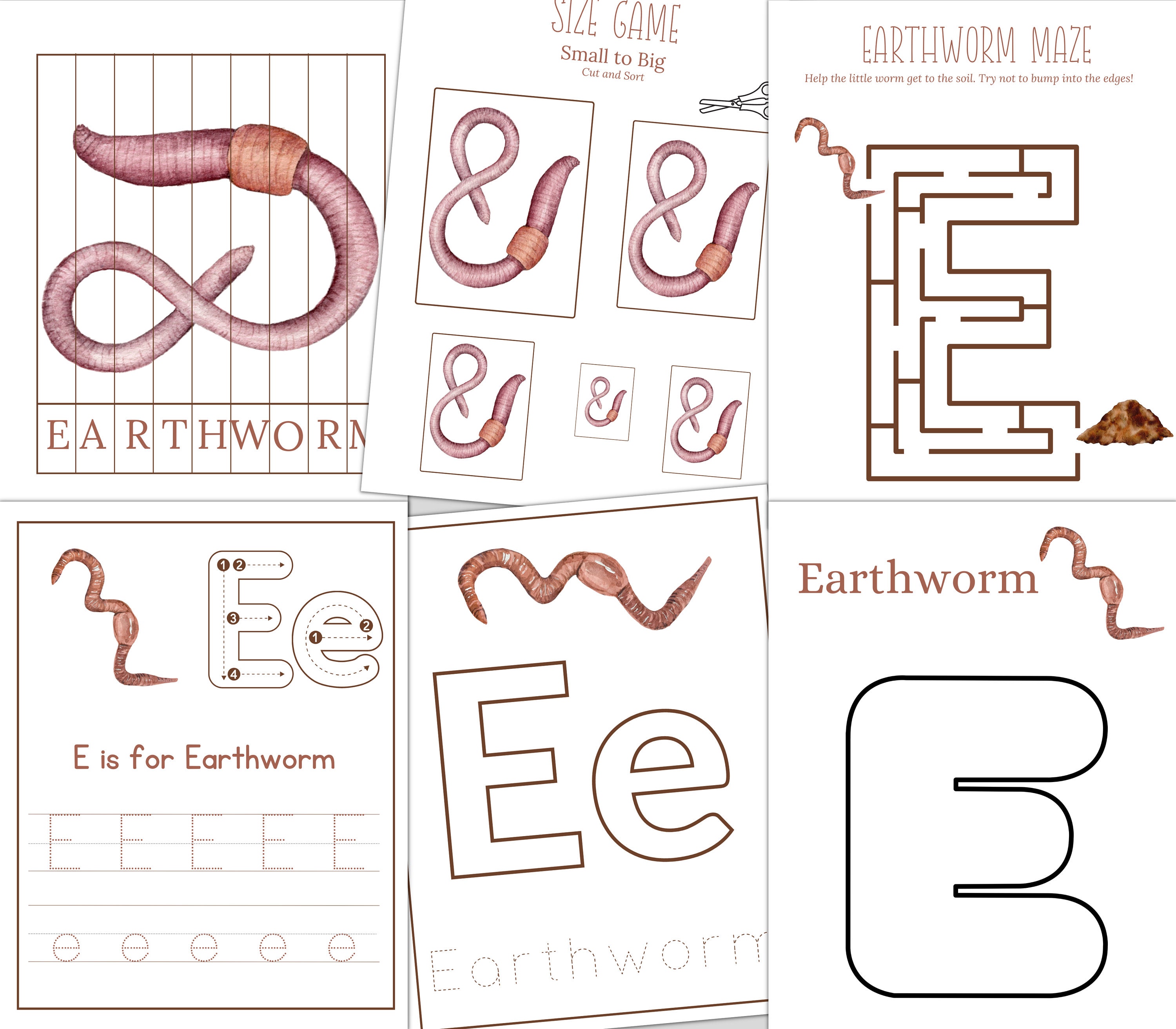 EARTHWORM Study Unit Life Cycle Anatomy Nature Study - Etsy Canada