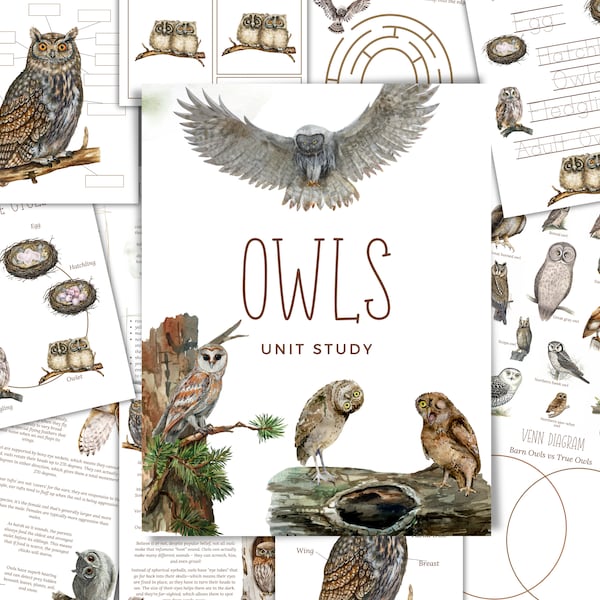 OWLS Unit Study, Life Cycle, Anatomy, Nature Study, Science,  Handwriting, Homeschool Printable, Montessori, INSTANT DOWNLOAD