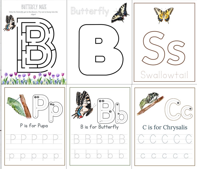 May include: A printable worksheet for kids to learn about the life cycle of a butterfly. The worksheet includes a maze, tracing letters, and writing practice. The worksheet features illustrations of a butterfly, a chrysalis, and a pupa.