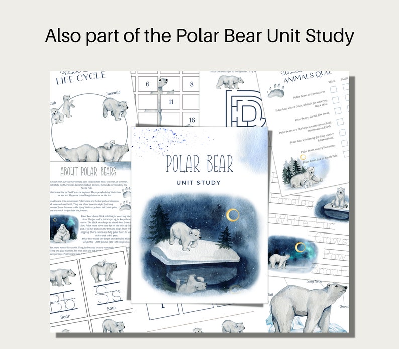 POLAR Bear Anatomy Poster and Labeling Activity Homeschool Etsy