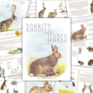 May include: A collection of educational printables titled "Rabbits and Hares Unit Study." The main image features a brown hare nursing its young. Additional pages detail rabbit anatomy, diet, and facts. The text includes "Fun Mom Printables."