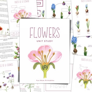 FLOWERS, Mini Study Unit, Life Cycle, Anatomy, Science,  Handwriting, Homeschool Printable, Montessori, Homeschool, INSTANT DOWNLOAD