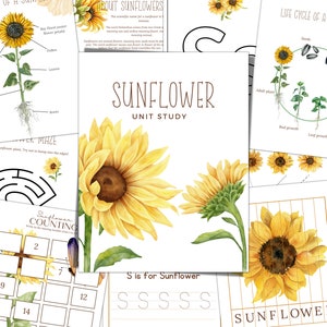 SUNFLOWER Unit Study, Life Cycle, Anatomy, Nature Study, Science,  Handwriting, Homeschool Printable, Montessori, INSTANT DOWNLOAD