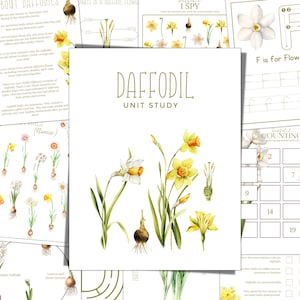 DAFFODIL Jednostka Studiów, Cykl Życia, Anatomia, Studium Przyrody, Nauka, Pismo Odręczne, Wydruk Do Edukacji Domowej, Montessori, Natychmiastowe POBIERANIE