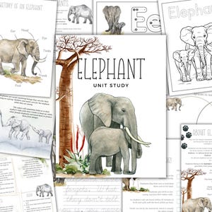 Estudo de unidade ELEPHANT, estudo da natureza, ciência, caligrafia, educação domiciliar, Montessori, DOWNLOAD instantâneo