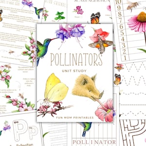 Jednostka badawcza POLLINATORS, badanie natury, nauka, pismo odręczne, wydruk do nauki w domu, Montessori, natychmiastowe pobieranie