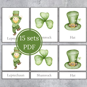 May include: A set of 15 printable PDF cards featuring images of a leprechaun, shamrock, and hat. The cards are designed for a matching game.