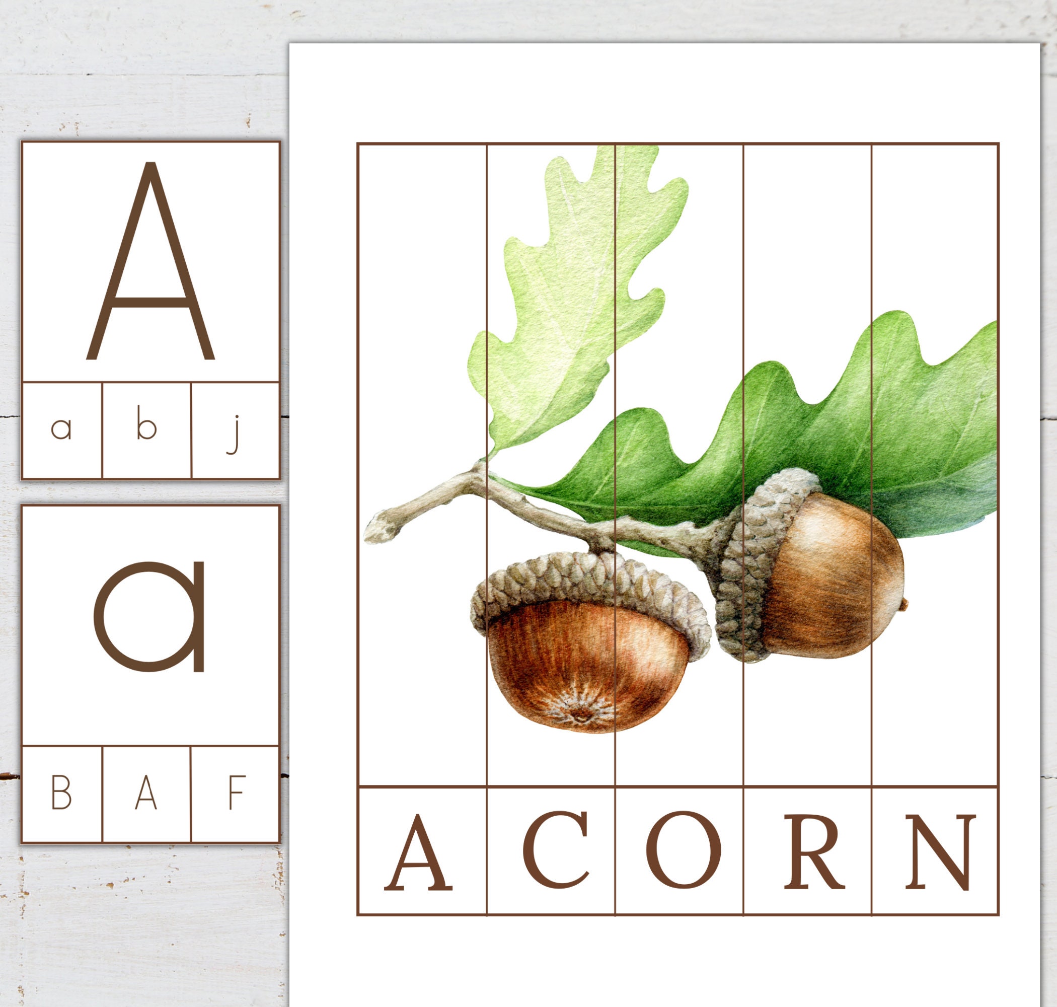 Letter A Acorn Learning Activities: Homeschool Printable (digital ...