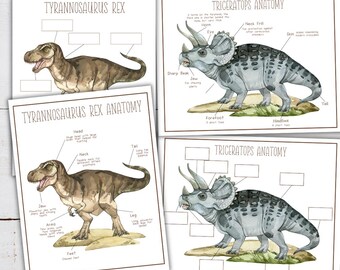 DINOSAUR Anatomy, Posters and Labeling Activities, INSTANT DOANLOAD