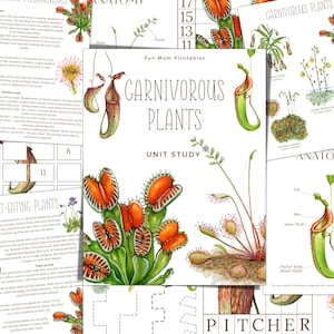 CARNIVOROUS PLANTS Unit Study,  Anatomy, Nature Study, Science,  Handwriting, Homeschool, Montessori, Instant DOWNLOAD