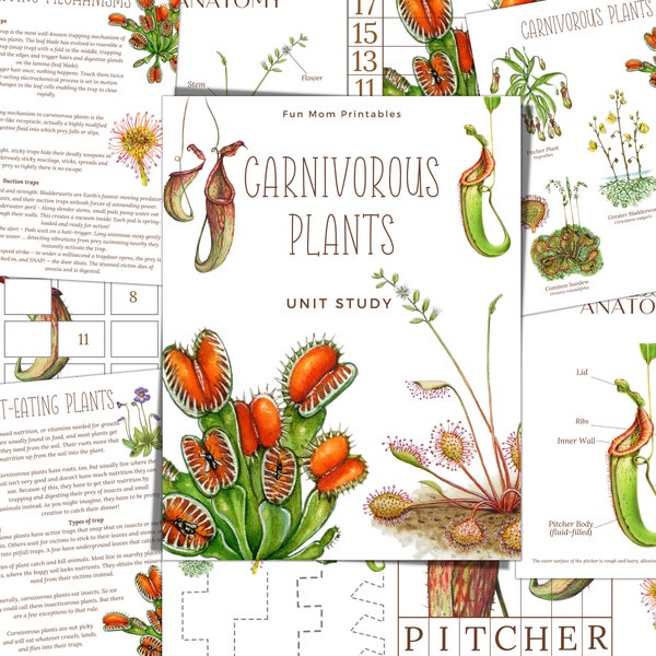 Unité PLANTES CARNIVORES Étude, anatomie, étude de la nature, sciences, écriture manuscrite, enseignement à domicile, Montessori, TÉLÉCHARGEMENT instantané