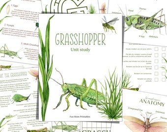 GRASSHOPPER Unit Study, Life Cycle, Anatomy, Nature Study, Science,  Handwriting, Homeschool Printable, Montessori, INSTANT DOWNLOAD