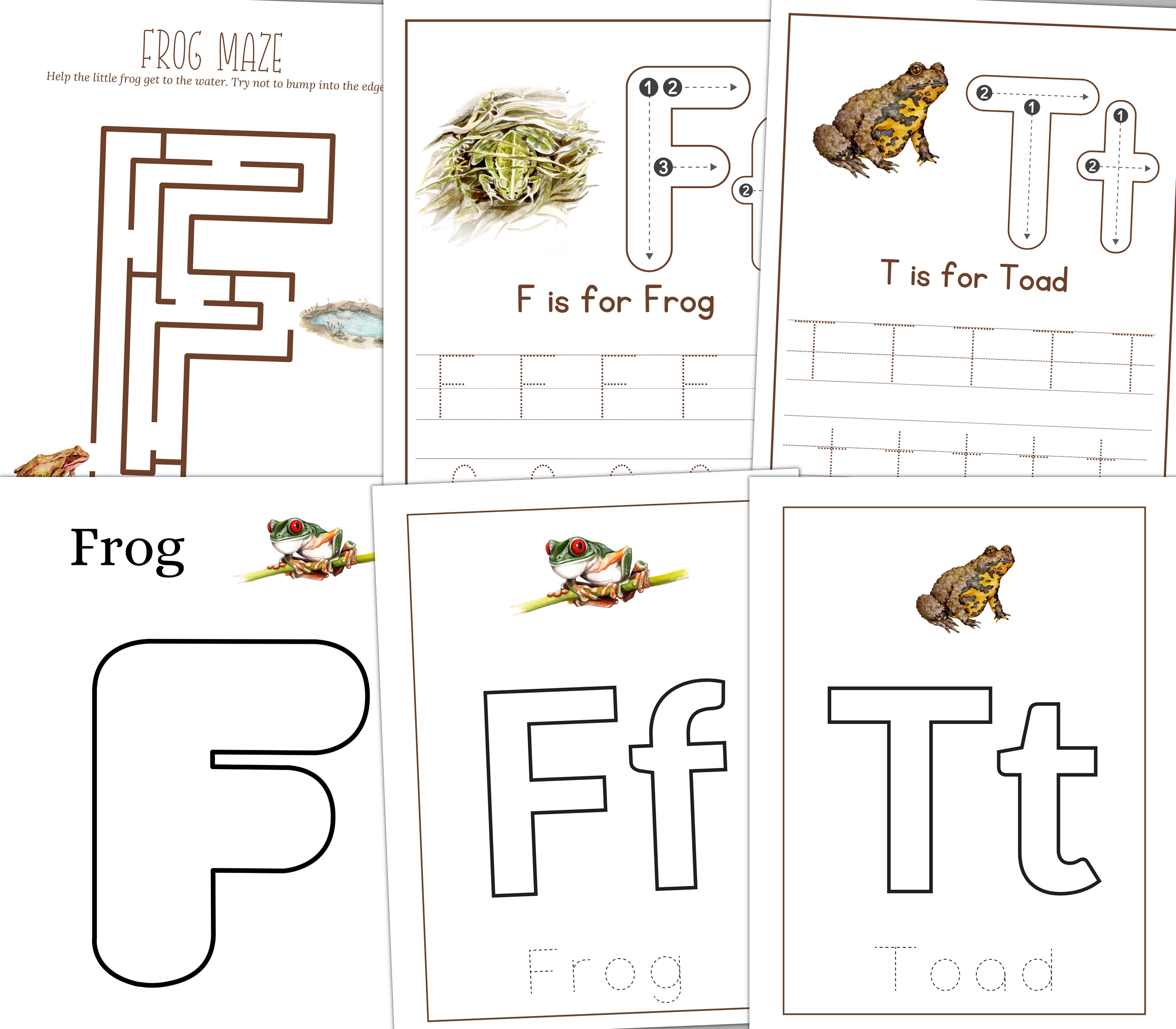 FROG Unit Study, Life Cycle, Anatomy, Nature Study, Science ...