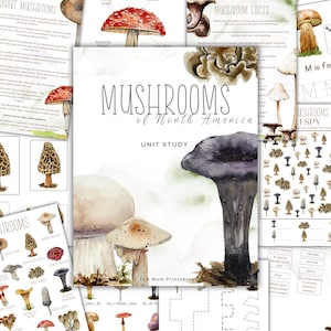 MUSHROOMS of North America Unit Study, Anatomy, Nature Study, Science, Homeschool Printable, Montessori, INSTANT DOWNLOAD