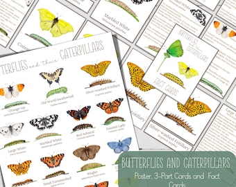 BUTTERFLIES and CATERPILLARS Mini Poster + 3-Part Cards + Fact Cards, Montessori, Instant Download