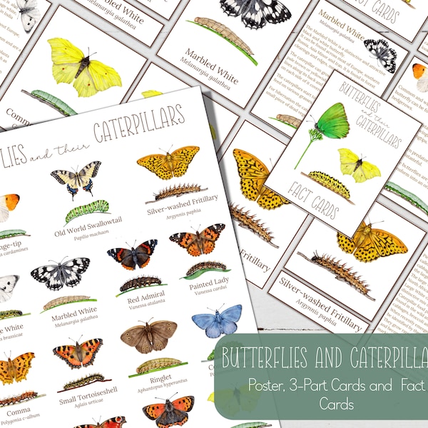 BUTTERFLIES and CATERPILLARS Mini Poster + 3-Part Cards + Fact Cards, Montessori, Instant Download