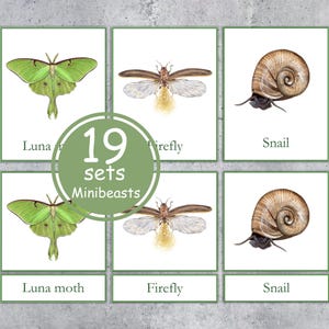 MINIBEASTS Montessori 3 carte parte. Attività di vocabolario prescolare. DOWNLOAD IMMEDIATO