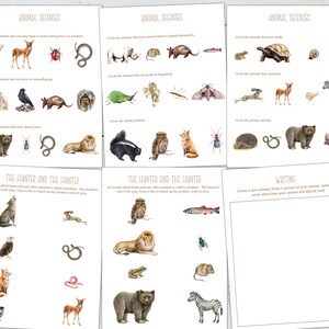 ANIMAL DEFENSES Unit Study, Anatomy, Nature Study, Science, Handwriting ...