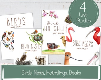 VÖGELEINHEITEN BUNDLE, Vogel Aktivitäten, Nester, Jungtiere, Schnäbel, Homeschool Printable, Instant Download