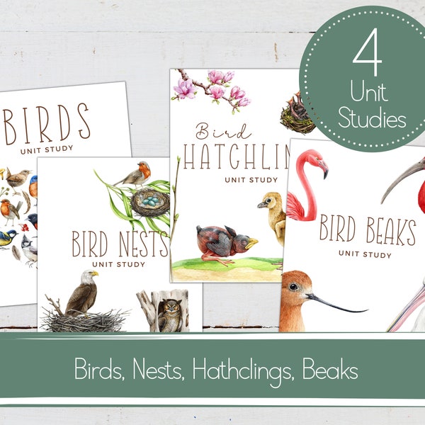 BIRDS UNITS BUNDLE, Bird Activities,  Nests, Hatchlings, Beaks, Homeschool Printable, Instant Download