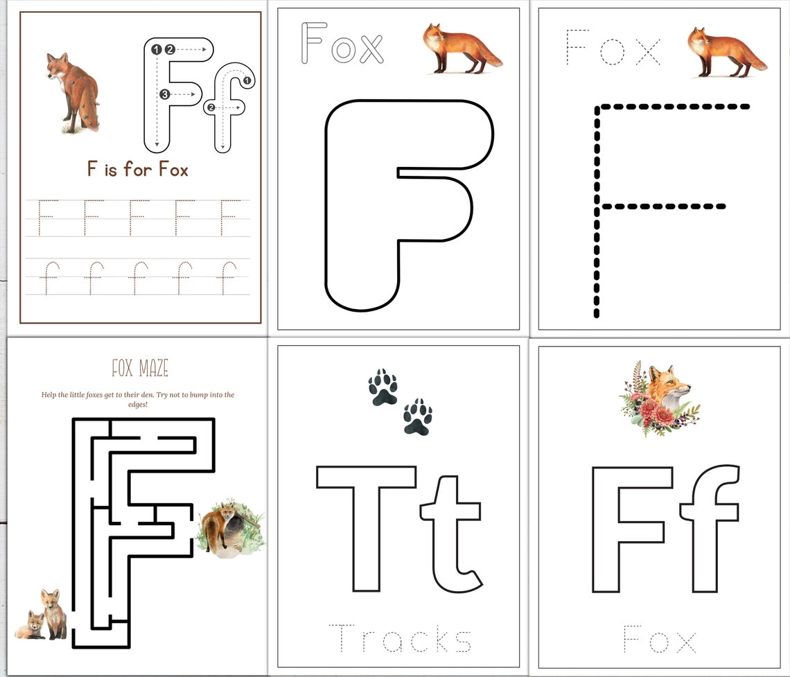 Red Fox Unit Study: Life Cycle, Anatomy, Homeschool Printable (instant ...