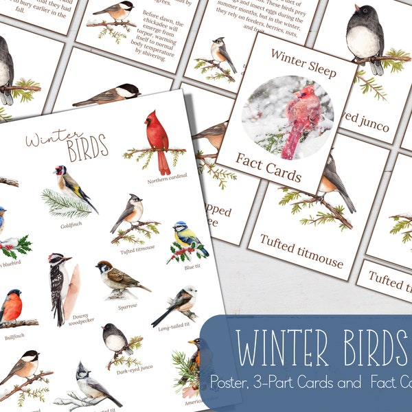 WINTER BIRDS Fact Cards, 3 Part Cards and Mini Poster, Nature, Digital DIY, Montessori Cards, Homeschool Resources