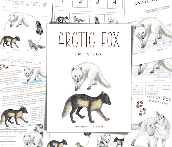 A Arctic Fox Label The Parts Of The Arctic Fox