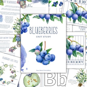 BLUEBERRY Eenheidsstudie, levenscyclus, anatomie, natuurstudie, wetenschap, handschrift, thuisonderwijs, montessori, INSTANT DOWNLOAD