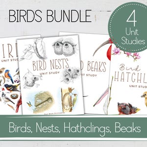 BIRDS UNITS BUNDLE, Bird Activities,  Nests, Hatchlings, Beaks, Homeschool Printable, Instant Download