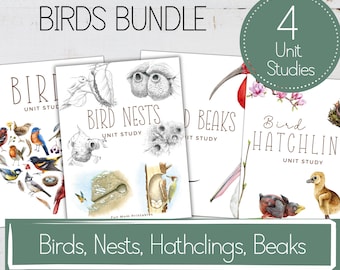 May include: A set of four printable unit studies for kids about birds. The unit studies include birds, nests, hatchlings, and beaks. The images are colorful and feature illustrations of birds and their nests.