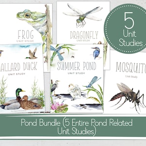 5 POND UNITS BUNDLE, Summer Pond Unit,  Mallard Duck Unit, Frogs Unit, Mosquito Unit, Dragonfly Unit, Homeschool Printable, Instant Download
