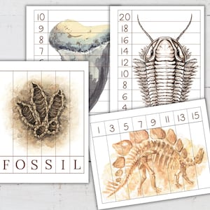 May include: A set of four printable fossil puzzles for kids. The puzzles feature a dinosaur footprint, a trilobite, a shark tooth, and a dinosaur skeleton. Each puzzle has a grid with numbers to help children assemble the pieces.