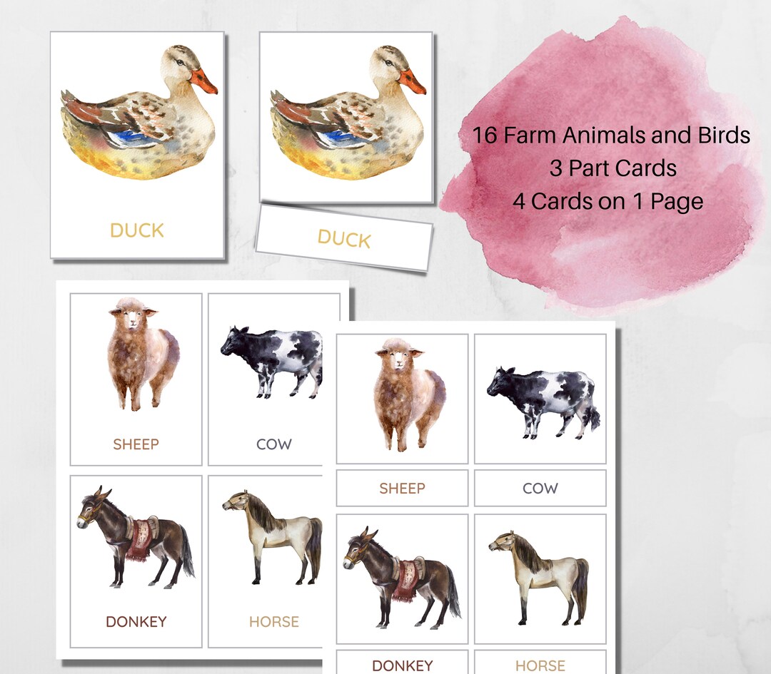 Farm Animals Montessori Cards: Printable Three Part Cards (PDF Download ...