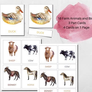 Farm ANIMALS • Montessori Cards • Flash Cards • Three Part Cards • Nomenclature Cards • Printable • INSTANT DOWNLOAD