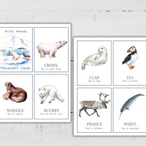May include: Educational cards featuring watercolor illustrations of Arctic animals. The cards include images of a polar bear, seal, puffin, walrus, Arctic fox, reindeer, and narwhal, with action words like "crawl" and "fly". The text "Arctic Animals" and "Movement Cards" are also present.
