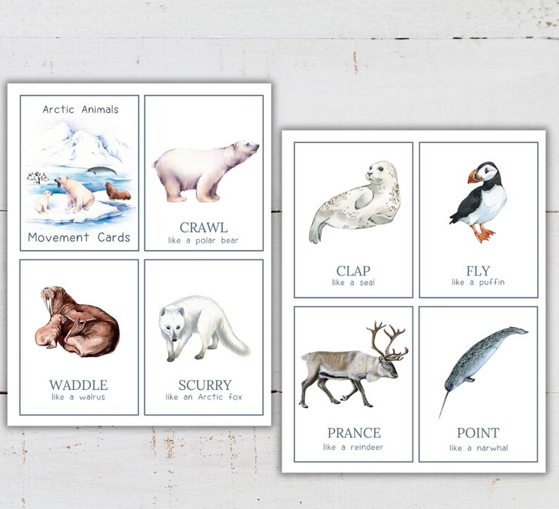 May include: Educational cards featuring watercolor illustrations of Arctic animals. The cards include images of a polar bear, seal, puffin, walrus, Arctic fox, reindeer, and narwhal, with action words like "crawl" and "fly". The text "Arctic Animals" and "Movement Cards" are also present.