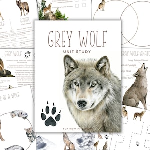 GREY WOLF Unit Study, Life Cycle, Anatomy, Nature Study, Science,  Handwriting, Homeschool Printable, Montessori, Instant Download