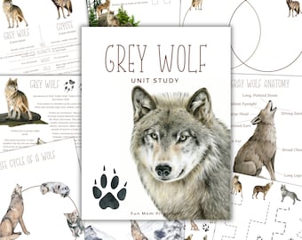 Grauer Wolf Einheit Studie, Lebenszyklus, Anatomie, Naturstudie, Wissenschaft, Handschrift, Homeschool druckbare, Montessori, sofortiger Download