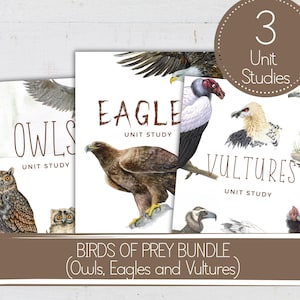 May include: A set of three printable unit studies for kids about birds of prey. The unit studies feature owls, eagles, and vultures. Each unit study includes colorful illustrations of the birds and the text "Unit Study" on each page.